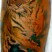 tatuagem tigre