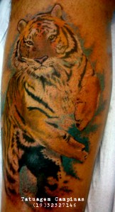 tatuagem tigre