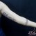 tatuagem escrita